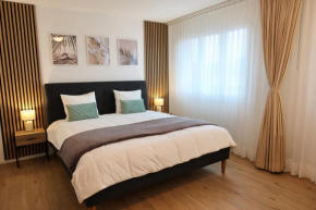 Top duplex Apartment Zurich-Limmattal